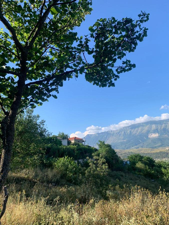 Isaraj Guest House Гирокастра Экстерьер фото